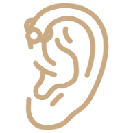 Forward Helix