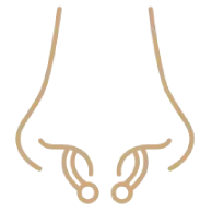 Septum Piercing